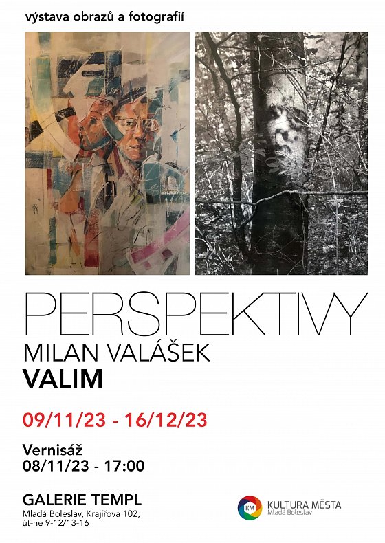 Perspektivy - Milan Valášek